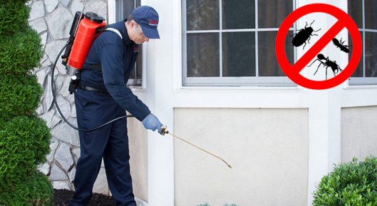 Dulkadiroğlu Fare İlaçlama böcek ilaçlama ve haşere kontrolü — ilaclama-tr.com